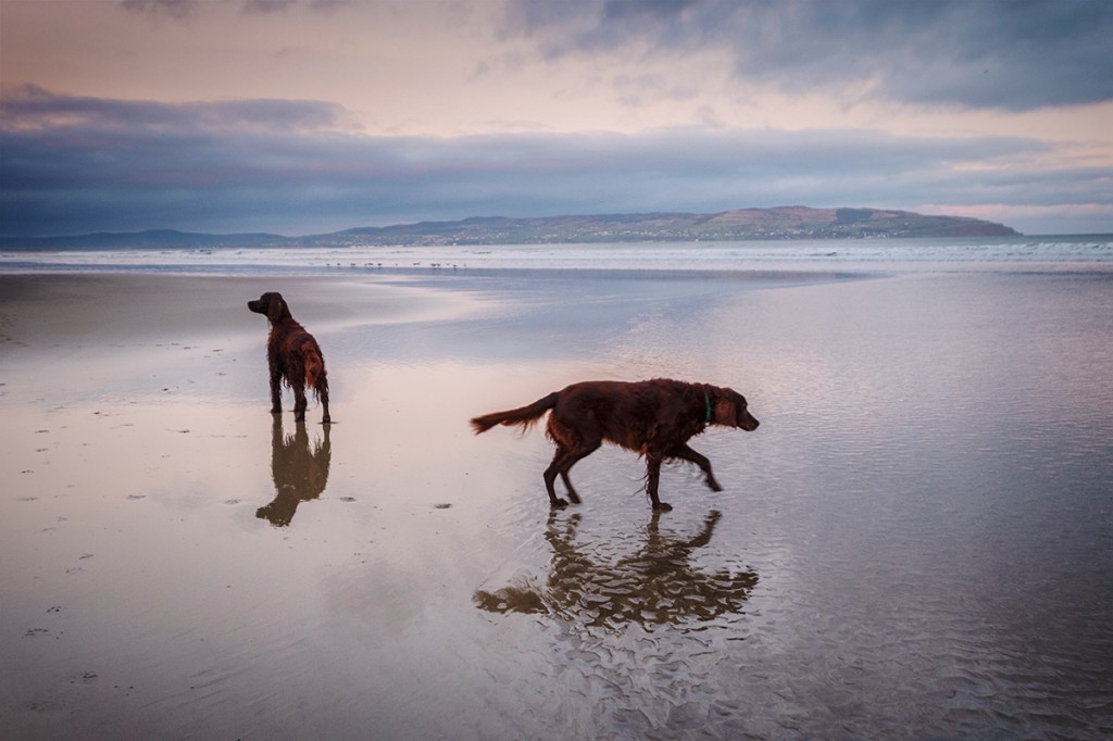 Abbie and Mac at Downhill beach
